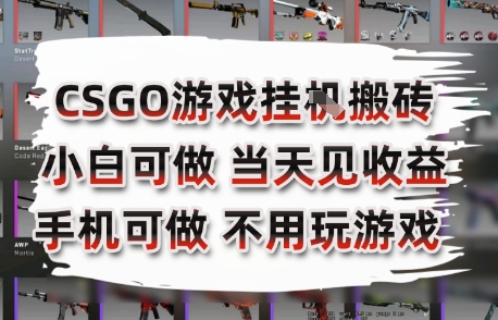 CSGO游戏挂G搬砖，小白纯手机即可操作，不用电脑打游戏，日入3张+，副业网创项目【揭秘】-小根博客
