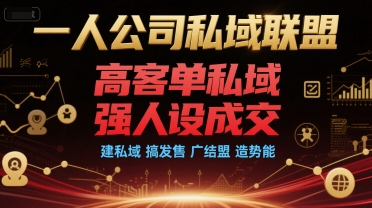 一人公司私域联盟，高客单私域，强人设成交，建私域 搞发售 广结盟 造势能-小根博客