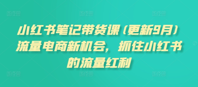 小红书笔记带货课(更新25年6月)流量电商新机会，抓住小红书的流量红利-小根博客
